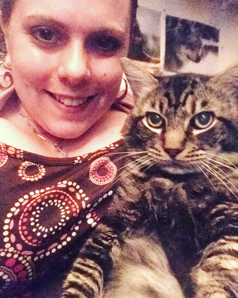 RosannaWright's tweet photo. ‘Happy 15 Year Rescue Anniversary’ - RoseJW🌹🐅 Soul: The Best Day Of My Life #HarlemBodegaCatNYC #July17 #SummerStorm #RoseAndTibby #MyOneTrueLove #EarthAngel #FifteenYearAnniversary #Rescue #Cat #Feral #BestPartOfLife #LuckyMe #Cuddles #Inseparable Tibby Loves Picture Time 😭 https://t.co/199AXnXxrI