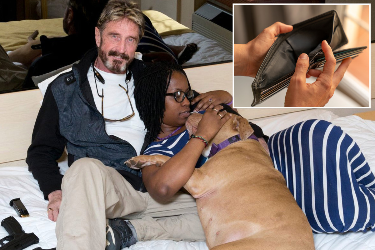 John McAfee died broke after blowing $100 million on 'bizarre' houses author