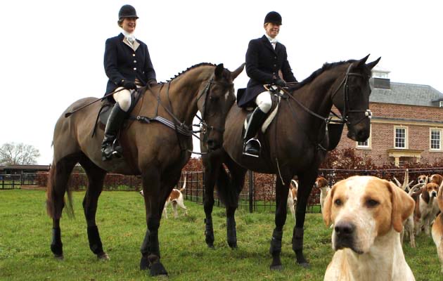 PFNicholls's tweet photo. What a life these two champions had after racing . Denman (L) &amp; Big Bucks (R) https://t.co/sAz9RHnhUq