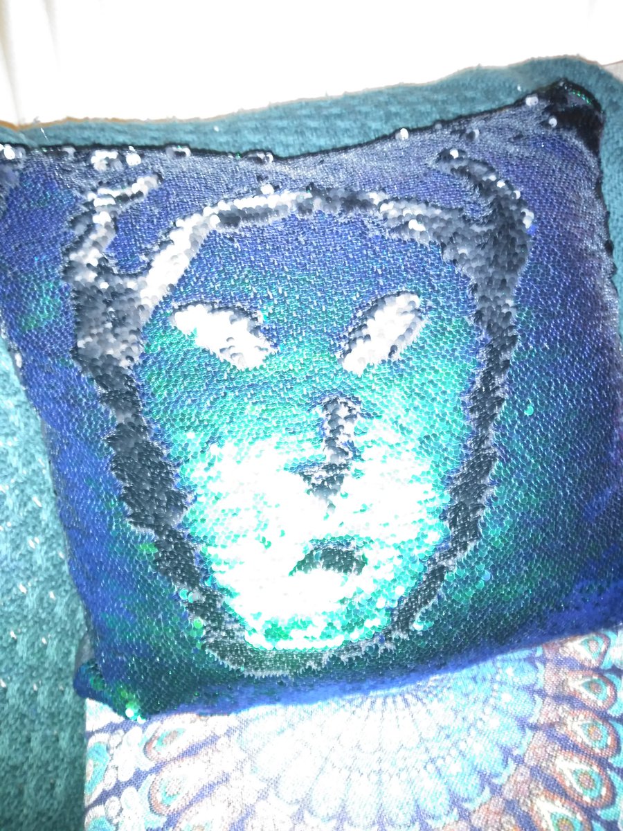 Agitha_Tilda's tweet photo. I made a creepy design of myself on one of those fancy sequence pillows (the kind you run your finger through to make the design). You've never seen a pillow look so wicked cute! #agithatilda #thequeenofcreepydolls #sequencepillow #design #odd #strange #pillow #creepy https://t.co/mb0PEqk6xq