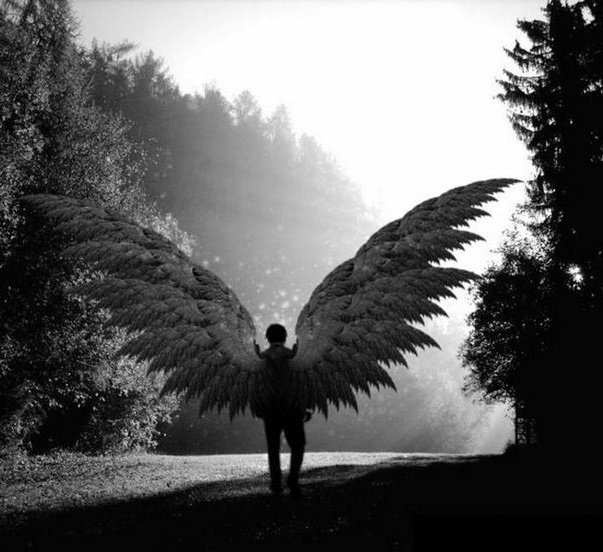 hanieh412's tweet photo. 𝑶𝒉, 𝒂𝒏𝒈𝒆𝒍 𝒔𝒆𝒏𝒕 𝒇𝒓𝒐𝒎 𝒖𝒑 𝒂𝒃𝒐𝒗𝒆
𝒀𝒐𝒖 𝒌𝒏𝒐𝒘 𝒚𝒐𝒖 𝒎𝒂𝒌𝒆 𝒎𝒚 𝒘𝒐𝒓𝒍𝒅 𝒍𝒊𝒈𝒉𝒕 𝒖𝒑
@B_hundred_Hyun
#백현아오늘은 https://t.co/psC753ZB9l