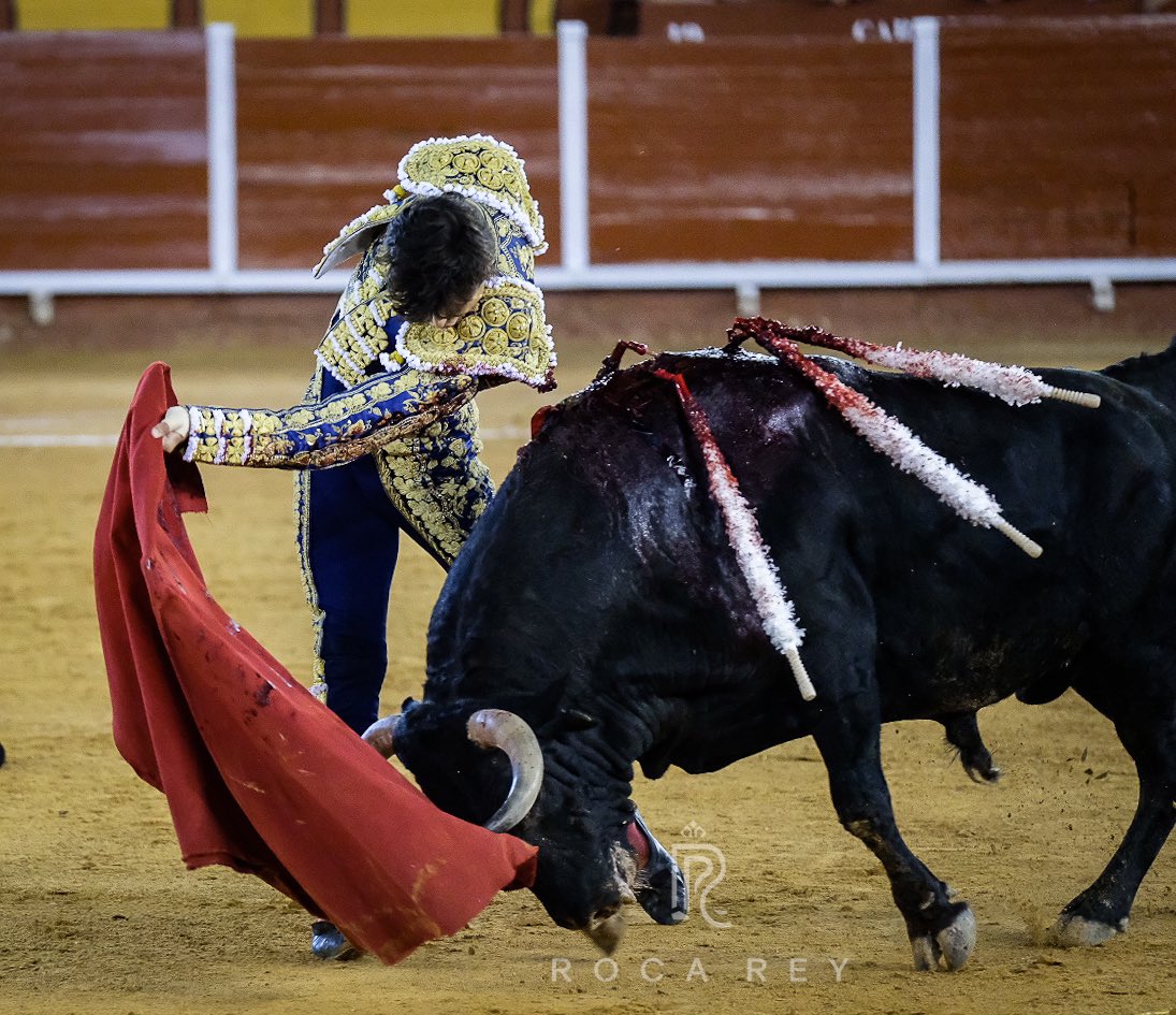 RocaRey's tweet photo. Tandas por ambos pitones llenas de intensidad y transmisión, largas, rotundas, por las acometidas del bravo “Cautivo” de @santiagodomecqb
#rocareyalgeciras #indulto #ClubRR https://t.co/wkOHm6eGc8