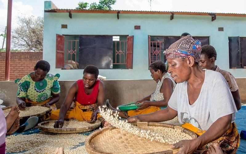 CGIAR_Data's tweet photo. Women are more likely than men to be time-poor — less able to make unconstrained choices about how to allocate their time. 

@IFPRI looks at an alternative measure of time use to help track progress toward gender equality: https://t.co/4CEtc64wAg #OneCGIAR #GenderinAg @CGIAR https://t.co/LjZ8mK6pGy
