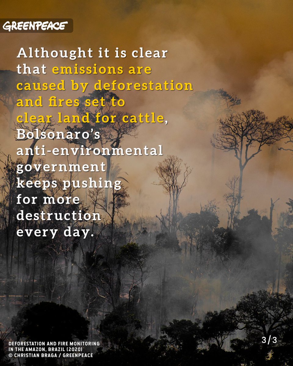 Greenpeace's tweet photo. Fires and deforestation are causing the Amazon to release more carbon than capture it, according to a new study. Yet, Bolsonaro’s government keeps pushing for more destruction. Losing the Amazon is a threat to biodiversity, Indigenous Peoples and to the global climate. https://t.co/MKKMbrIxAj
