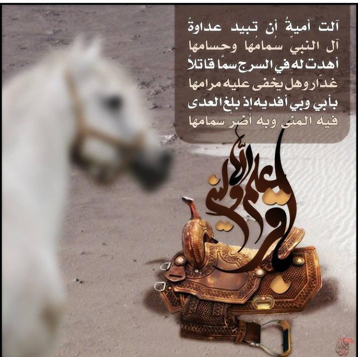 HADITV110's tweet photo. https://t.co/jfCA81Id7F