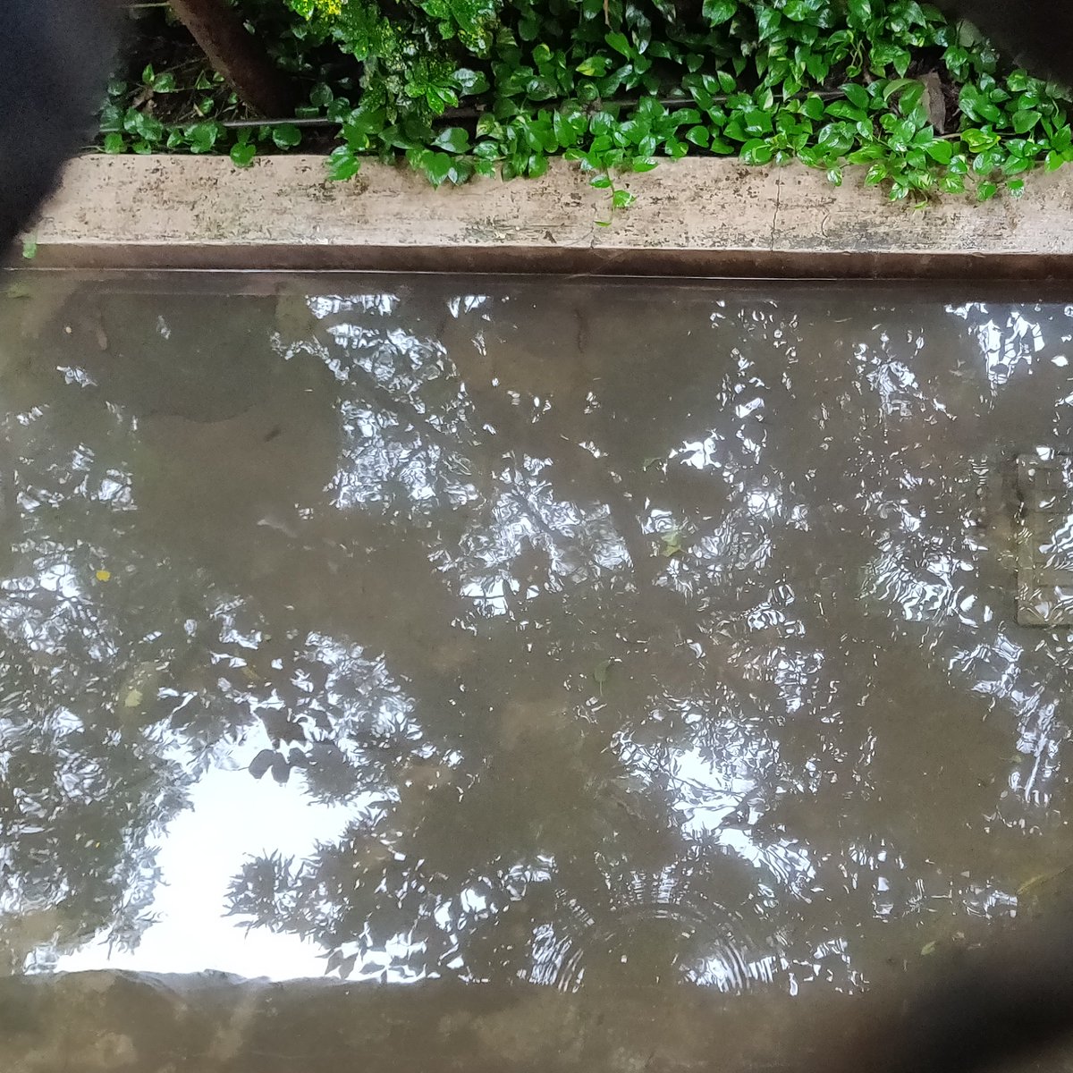 SocietySindhi's tweet photo. 3 hours after rains stopped. Water logging still outside Swami Vivekanand School, Sindhi Society, Chembur @AUThackeray @MumbaiPolice @OfficeofUT @shewale_rahul @mybmc @AslamShaikh_MLA @mybmcWardMW @suprada17 @ShivSena @ MumbaiNCP @bjp4mumbai @INCMumbai #MumbaiRains https://t.co/F8erYUCkBv