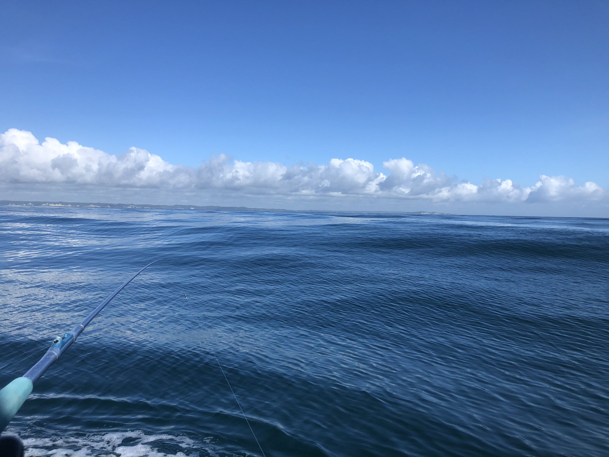 さえ 久しぶりの沖釣り なんと 中乗りさん含め全員坊主 W そんな事あるんだなぁ 寝られなかったから残り物でお弁当まで作ったのに何も釣れないてwwww 意味わからんw T Co Qs8oexsh5k Twitter