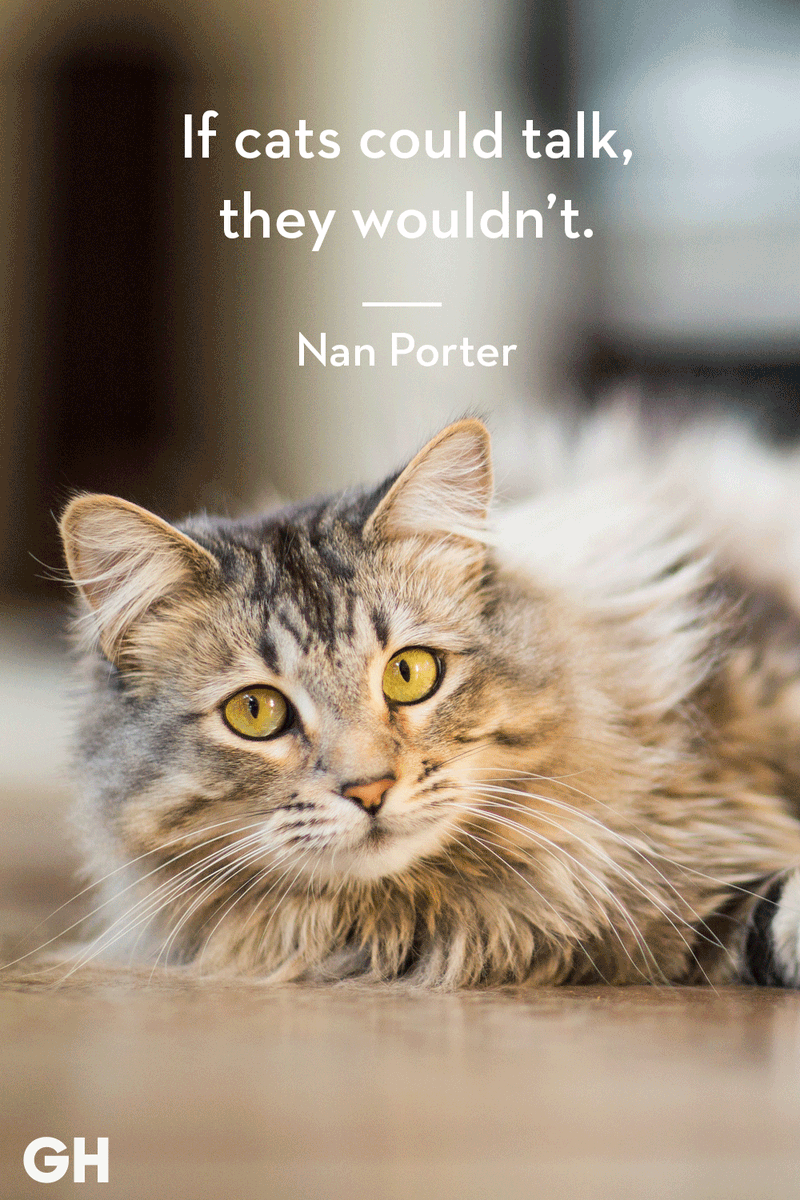 Vania Rheault (@v_rheault) on Twitter photo <a href="/tonidockter/">Toni Dockter</a> <a href="/DawnArda/">Dr Dawn Arda</a> <a href="/PaulaHouseman/">Paula Houseman Author is querying</a> <a href="/PattySomlo/">Patty Somlo</a> <a href="/TracyShawn/">Tracy Shawn</a> <a href="/caandersonautho/">C. A. Anderson</a> <a href="/TraceyLShearer/">Tracey Shearer</a> <a href="/AuthorEdenC/">Eden Campbell</a> <a href="/iamscarlettwest/">Scarlett West</a> @stephwritenow <a href="/JaeDanzig/">Jae Danzig π²</a> <a href="/ywrite/">Shawna C</a> <a href="/chipmunkofpower/">Rebecca Frohling</a> <a href="/silicasun/">π¦ Rekha Valliappan π</a> <a href="/AmandaTorwood/">Amanda Torwood #GTTO # FBPE</a> <a href="/kstonewriter/">Kathleen Stone βοΈ Author</a> <a href="/NitaSweeney/">Nita Sweeney, Bestselling #Author</a> Yes! I never liked doomsday scrolling. I try to fill my feed with animals and motivational quotes, and if you can put them together, all the better! <a href="/tonidockter/">Toni Dockter</a> <a href="/DawnArda/">Dr Dawn Arda</a> <a href="/PaulaHouseman/">Paula Houseman Author is querying</a> <a href="/PattySomlo/">Patty Somlo</a> <a href="/TracyShawn/">Tracy Shawn</a> <a href="/caandersonautho/">C. A. Anderson</a> <a href="/TraceyLShearer/">Tracey Shearer</a> <a href="/AuthorEdenC/">Eden Campbell</a> <a href="/iamscarlettwest/">Scarlett West</a> @stephwritenow <a href="/JaeDanzig/">Jae Danzig π²</a> <a href="/ywrite/">Shawna C</a> <a href="/chipmunkofpower/">Rebecca Frohling</a> <a href="/silicasun/">π¦ Rekha Valliappan π</a> <a href="/AmandaTorwood/">Amanda Torwood #GTTO # FBPE</a> <a href="/kstonewriter/">Kathleen Stone βοΈ Author</a> <a href="/NitaSweeney/">Nita Sweeney, Bestselling #Author</a> Yes! I never liked doomsday scrolling. I try to fill my feed with animals and motivational quotes, and if you can put them together, all the better!