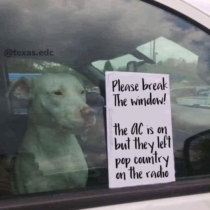 Cruelty to animals! Lol!
<a href="/KyleCoroneos/">Saving Country Music</a> #savingcountrymusic