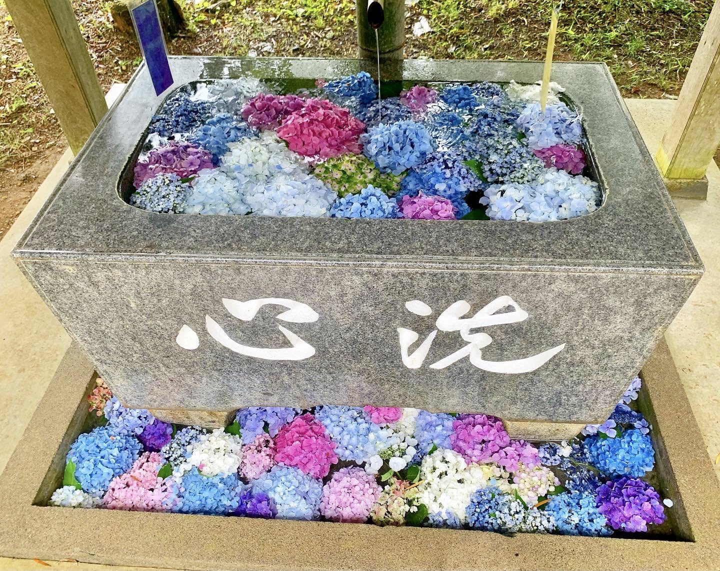 島川未有 勝浦 坂本八幡神社の花手水 心を洗う 紫陽花が恋しいなぁー T Co Ebj2ldrs8p Twitter
