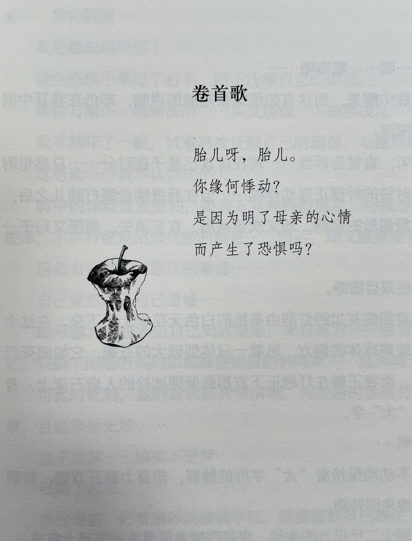 Wunderkammer 本が届いた今日はいい日だ ドグラ マグラの中国語版 かっこいいから買った だってかっこいいからね T Co Vpdsv2m7e8 Twitter