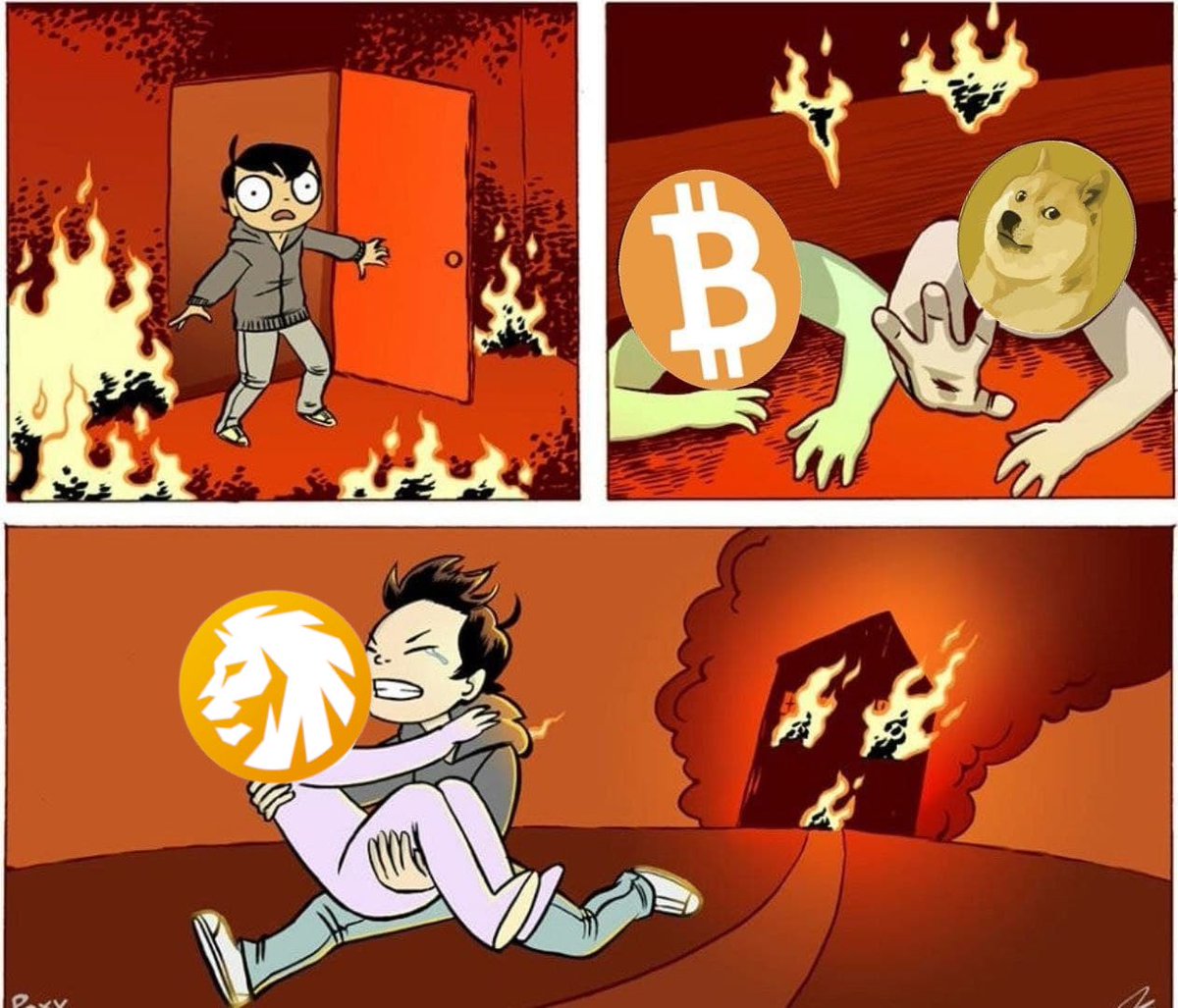 memes_lion's tweet image. #MillionToken #MillionArmy