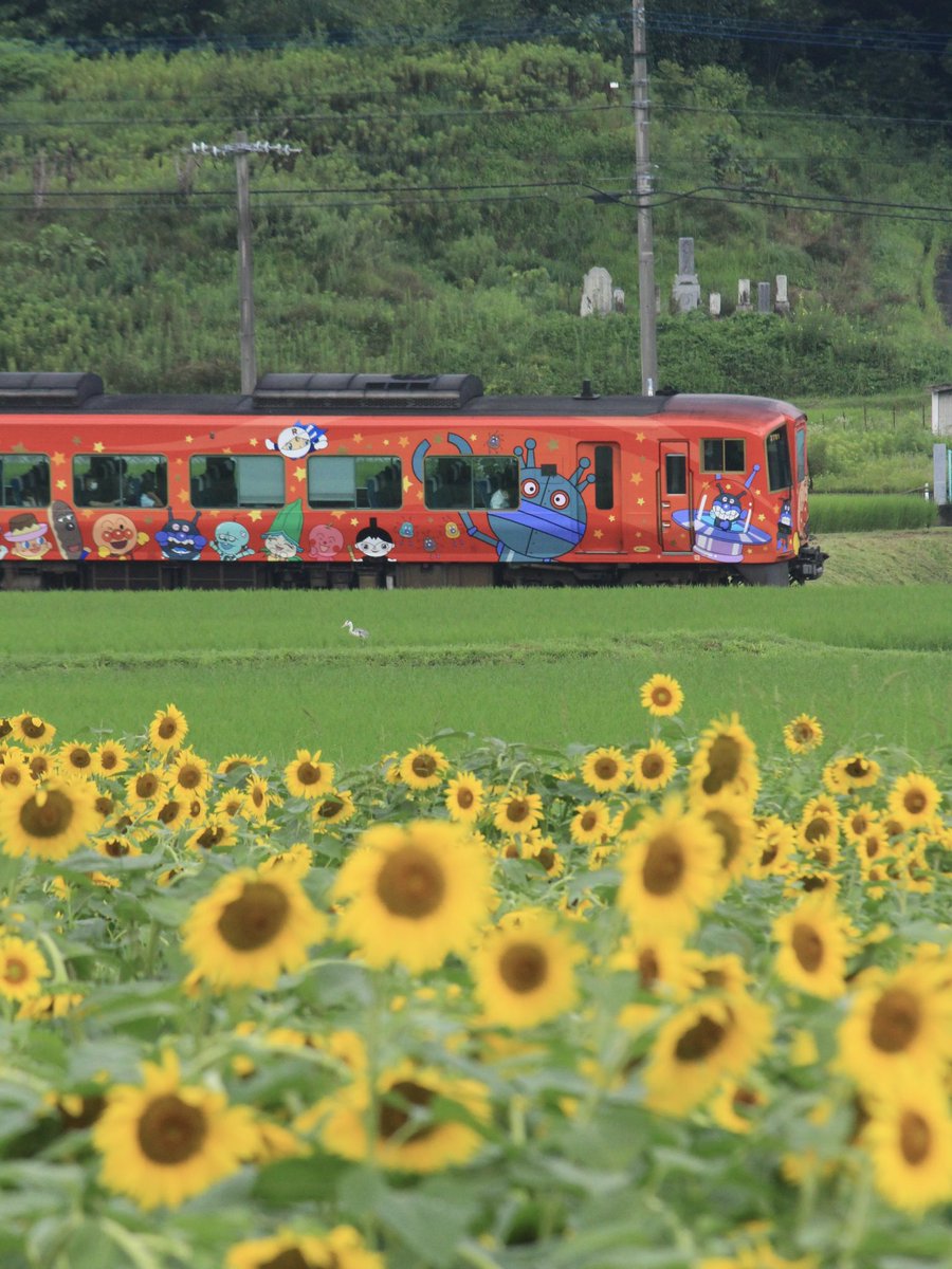 そらん 四国の梅雨明けが遅いですね 赤いどこでもドアを抜けると香川県のひまわり畑に出てきました 花はもう下を向いていましたが早朝の散歩は気持ちよかったです 21 7 17 香川県 まんのう町 ひまわり どこでもドア そらん 四国の梅雨明けが遅いですね 赤いどこでもドアを抜けると香川県のひまわり畑に出てきました 花はもう下を向いていましたが早朝の散歩は気持ちよかったです 21 7 17 香川県 まんのう町 ひまわり どこでもドア