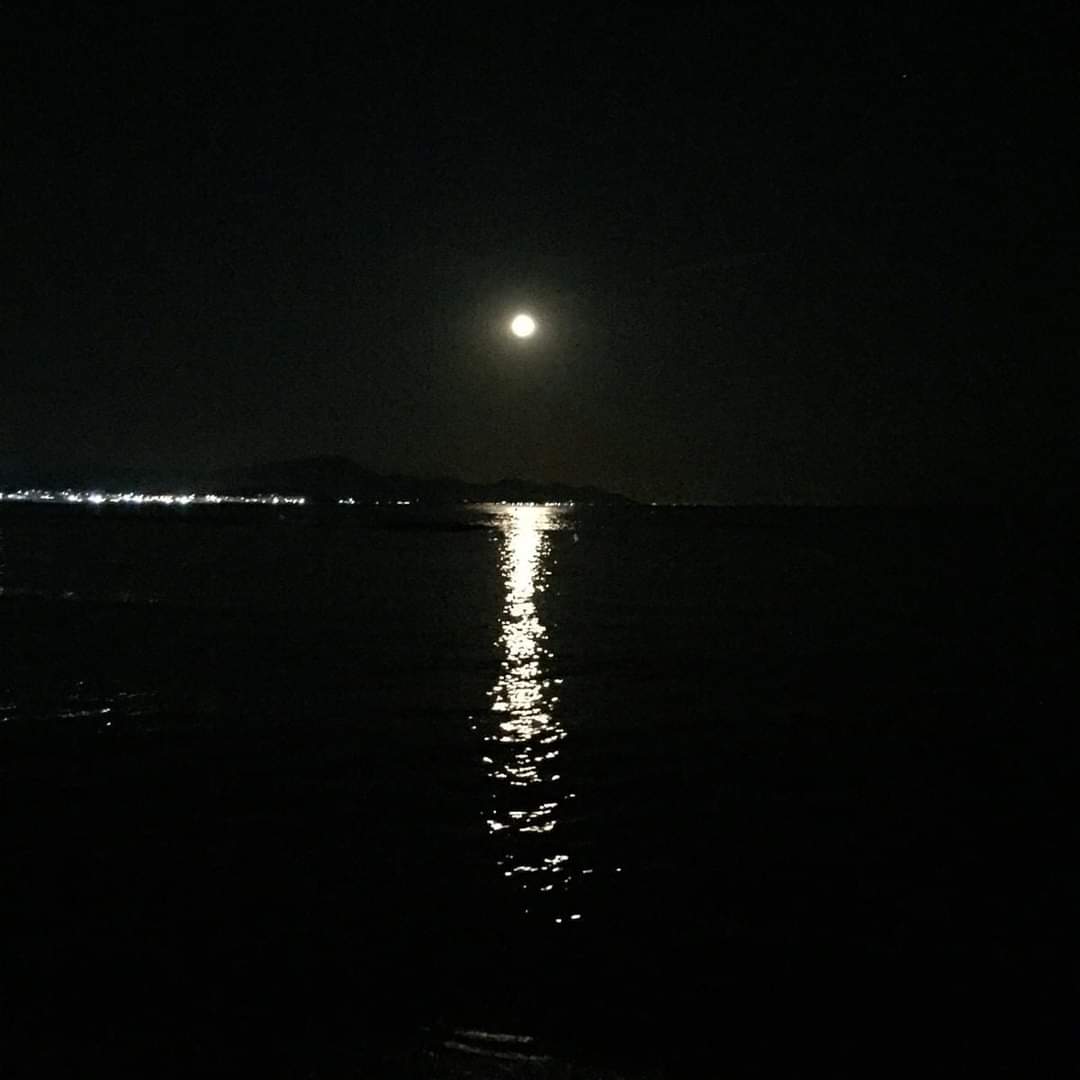camill_di's tweet photo. #daqualcheparte ci sarà quel luogo tranquillo dove il mare calma l'anima e l'emozione scrive la storia  .
[ finché il cuore batte ...]

#unTemaAlGiorno https://t.co/wXZPo0Rins