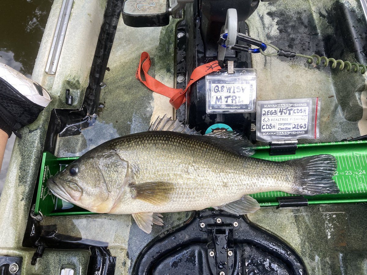 miacalva's tweet image. I’m fishing the @KayakBassFish Weekend Warrior Challenge (best 5 fish Sat/Sun). The morning bite was bad but then I went in a creek &amp;amp; all hell broke loose. My best 5 went 95”/ 20 lbs. I’m fishing a different lake tomorrow - let’s go!
#jacksonkayak #yakrods #ketchboard #tactacam