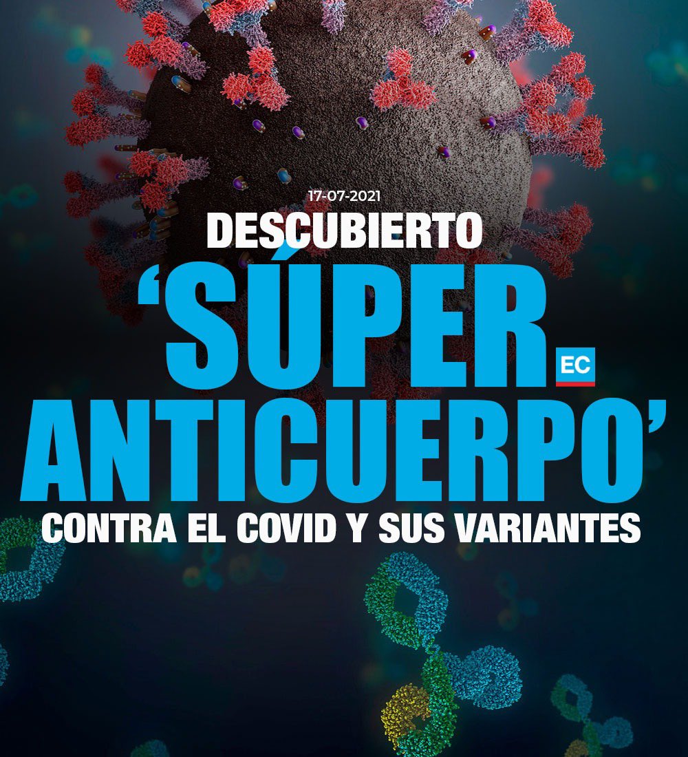 Investigadores hallan anticuerpo clave para contrarrestar todas las variantes del coronavirus » bit.ly/3euFNiX
