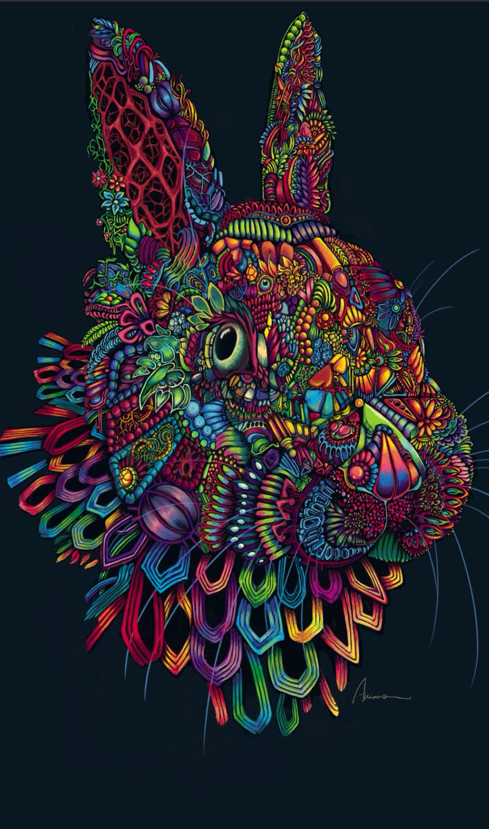 Akimus15's tweet photo. #art #zodiac #rabbit #digitalart https://t.co/TyYx9zSb1W