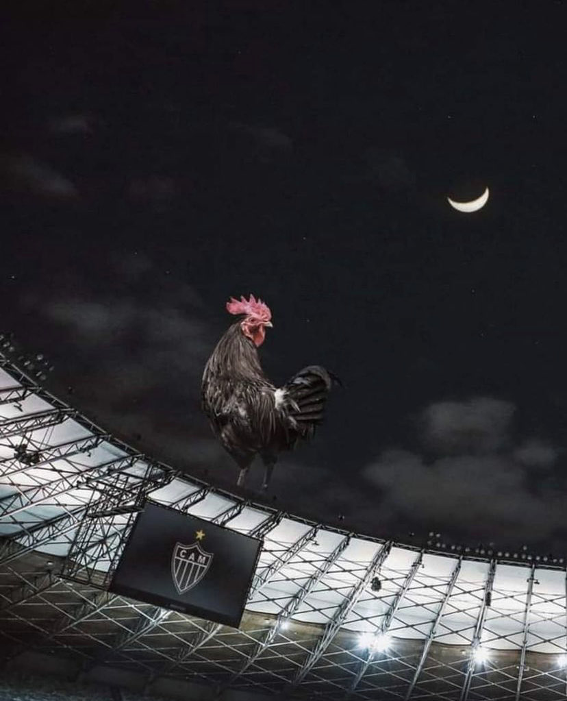 Gustavo Cardoso (@gustavocard13) on Twitter photo 