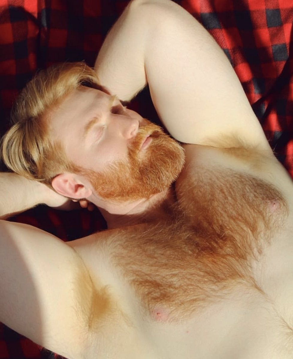 𝘾𝙞𝙖𝙣 𝙊’𝘾𝙖𝙡𝙡𝙖𝙜𝙝𝙖𝙣 (@elitewoodsman) on Twitter photo 