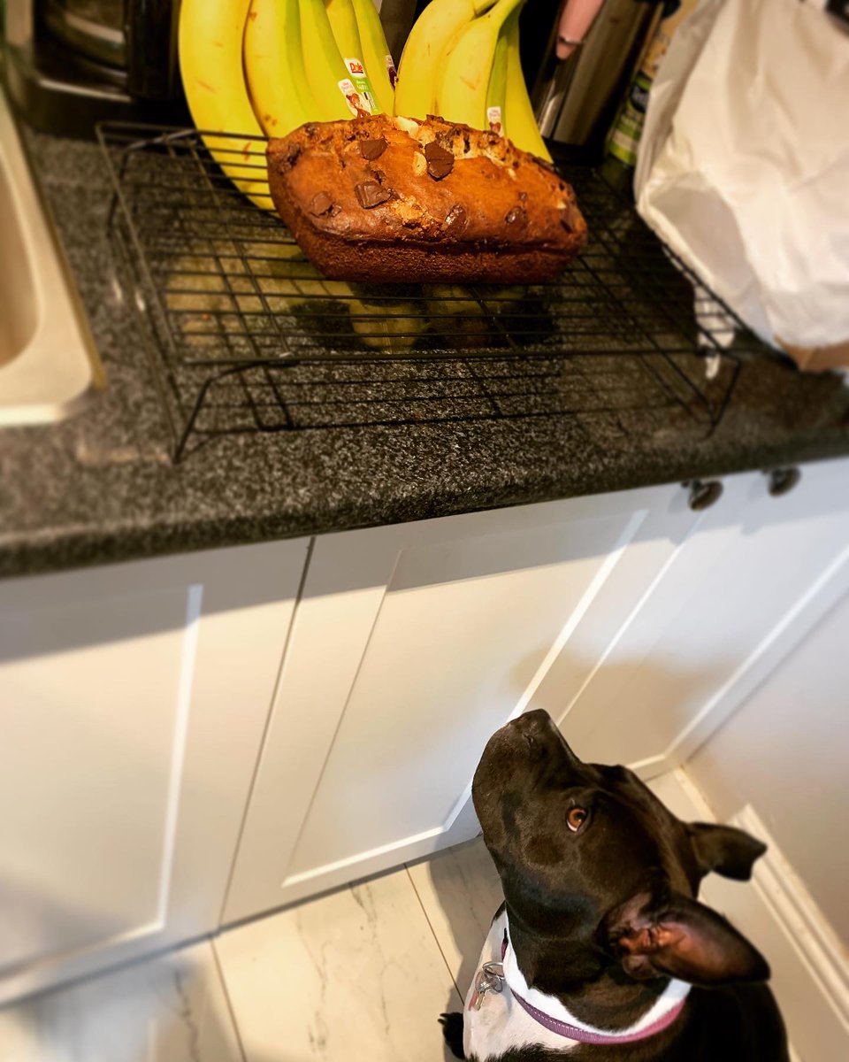 Erica. 🕶 tweet media