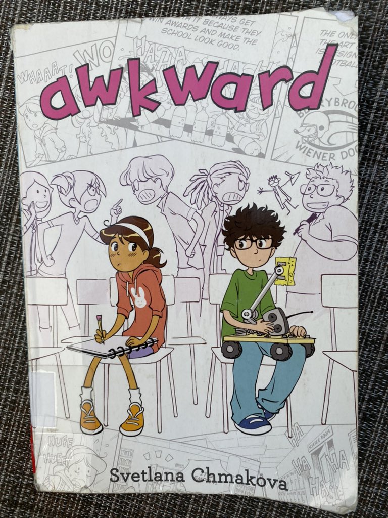 When our visiting 12 year-old cousin picked up my daughter’s current read, he said, “Graphic novels. Always a good idea.” #bookaday