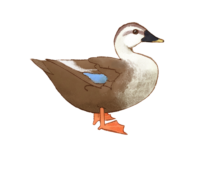 水鳥さんのtwitterイラスト検索結果 水鳥さんのtwitterイラスト検索結果