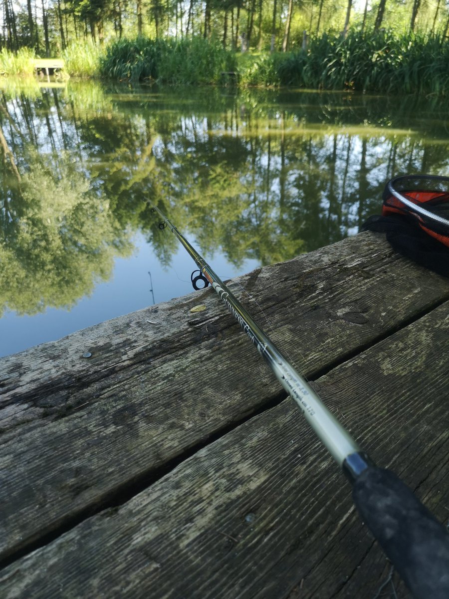 Titch_World's tweet photo. Some snaps from today's #Fishing #WoodendFarmComplex https://t.co/96zNTyGUcw