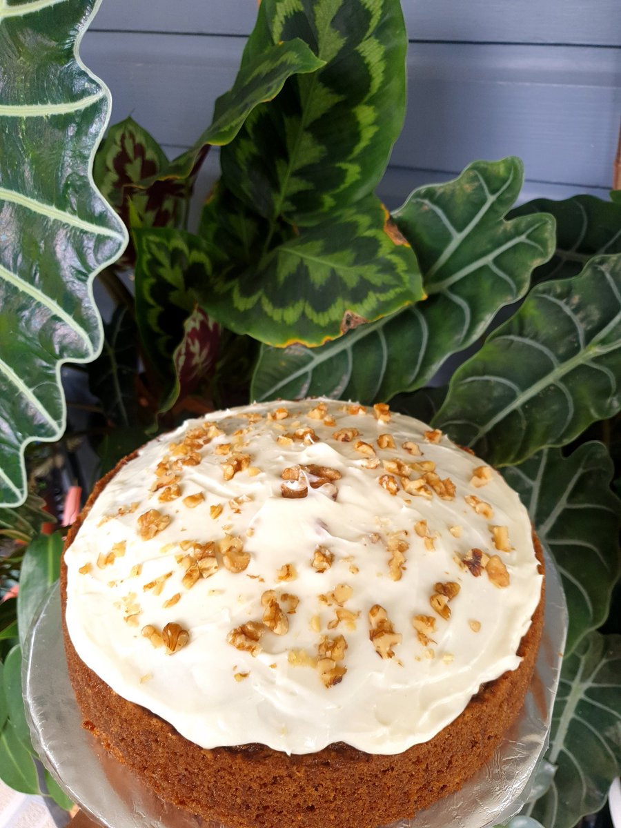 Check out 'Tea & Bakes Fiji' on Instagram for some delicious 'carrot cake'. So good, you WILL NOT REGRET ORDERING!!! 🤌🏾

#SupportSMEs #SupportWomenInBusiness #Cakes #BakedGoods
