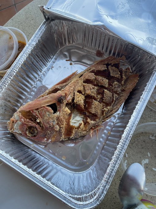 I&rsquo;m doing great, thanks for asking 💕 https://t.co/QzHsASHl0x<a href="/tag/happybirthdaytome"class="tags"><span>#happybirthdaytome</span></a>