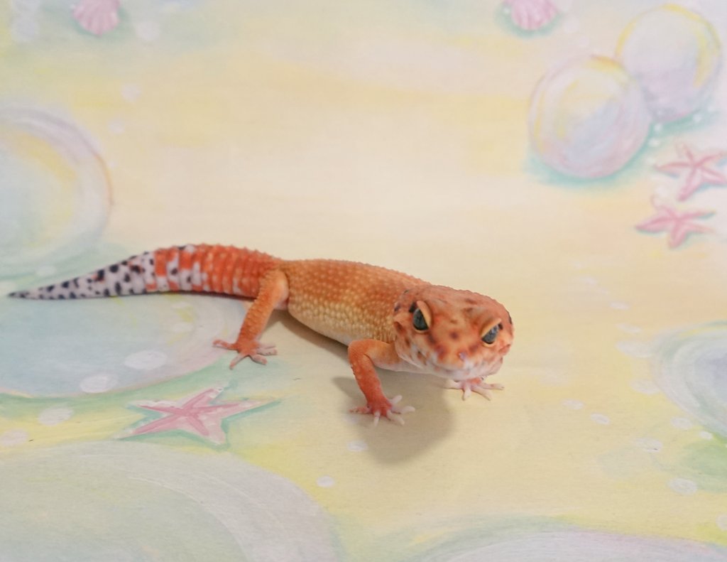 Kaori Apparelkaori Timeline The Visualized Twitter Analytics