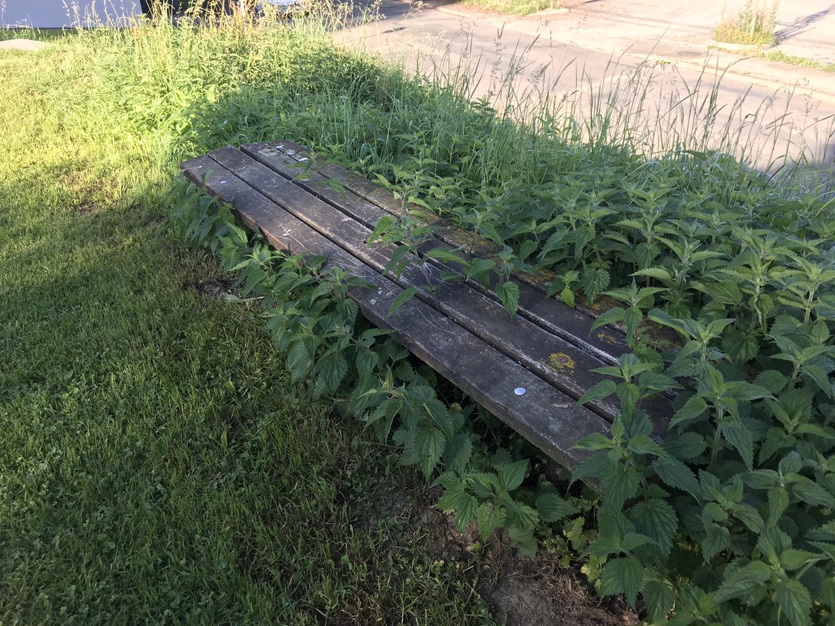 syl_simply's tweet photo. Quand le jardinier municipal n’aime pas les gens … https://t.co/5iHZWYEReJ