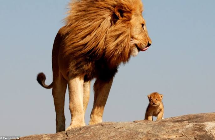 BeingNarayanKB's tweet photo. No any Person Love you, Care you, Support you in every situation and Stand for you Life long as much Your Parents Do. 
Please Love and take Care of your Parents Life Long, Because for Parents their Kids are their World.
#sundayvibes https://t.co/ZmZMll2VzI