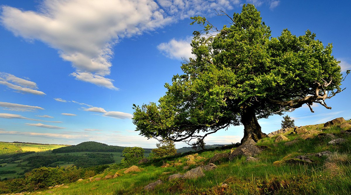 ✿°°•✿ Nina ✿•°°✿ tweet media