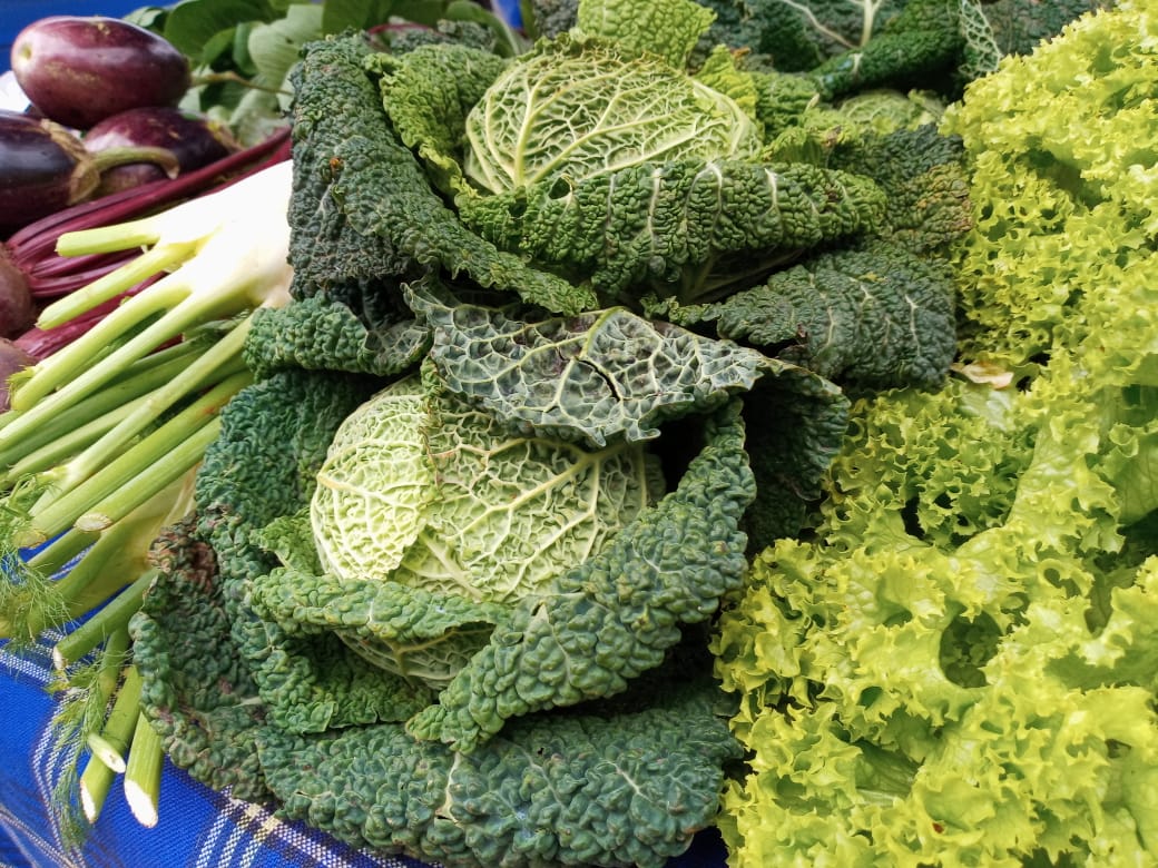 organicfarmersmarket tweet media