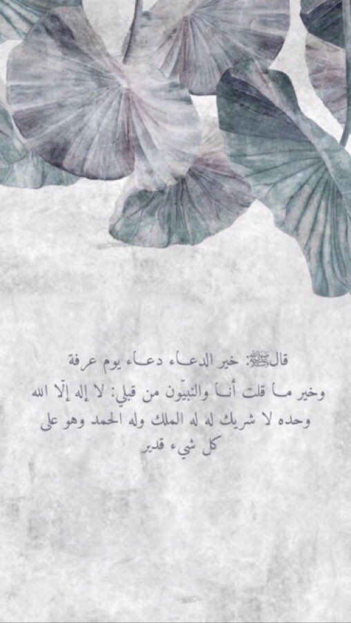 fars_q's tweet photo. اللهم عَرفة ودعوة مستجابة وذنبٌ مغفور وخاطر مجبور🤍
 #يوم_الترويه https://t.co/X2XKZfUTxO