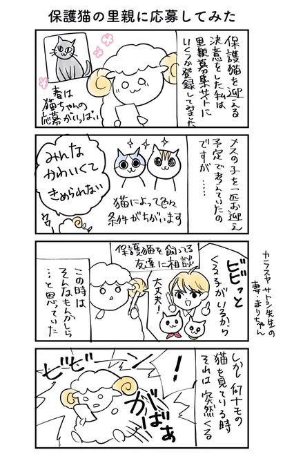 保護猫の里親に応募してみた
#生活にうるおいを 
#猫漫画 #猫のいる暮らし 