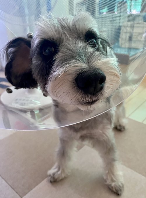 ãã£ãã¡ããããªãã³ã°ã§ãµãããª!
ããããç®èçã«ãªã£ã¡ãã£ãã®ã§ç
é¢ã«ãè¡ããŸããðŠ
è³ã®äžããã²ã¡ãã£ãŠãã
ð¢ð¢
ãã°ããã¯ãšãªã¶ãã¹ã«ã©ãŒè£
çðŠ