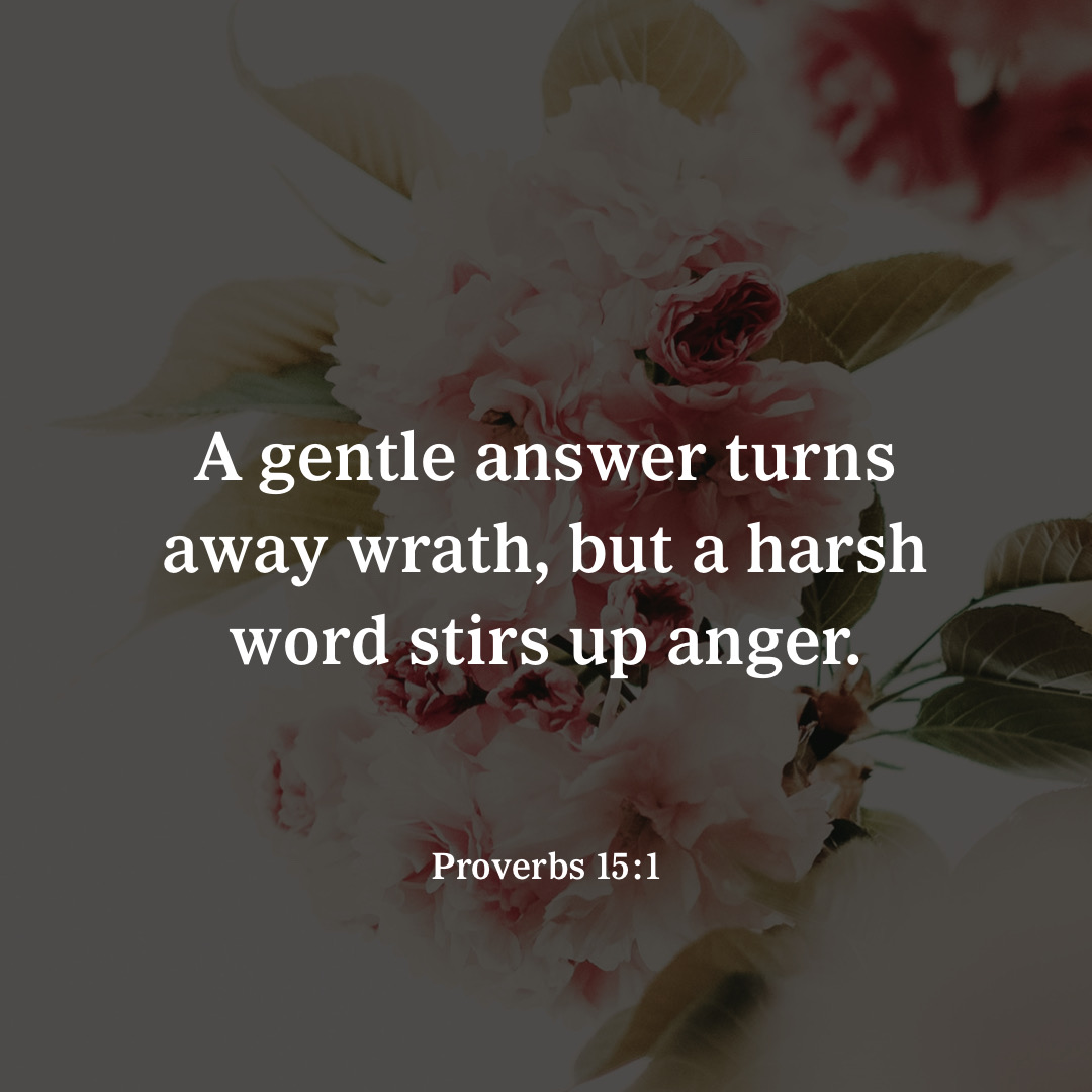 YouVersion's tweet photo. Proverbs 15:1 https://t.co/1X20TLKP2D