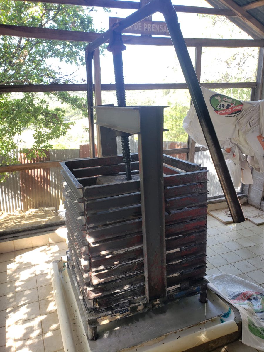 Prensa para exprimir la yuca.

#Rutadelcasabe #moncion

<a href="/CBritoFoto/">Carlos Brito</a> @Milka_Hdez <a href="/RutadelC/">RutadelCasabe</a>
