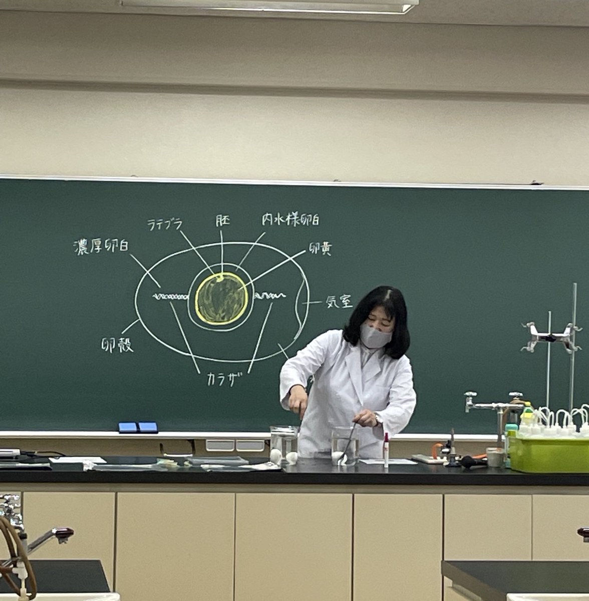 國學院大學栃木短期大学 Tochitan1966 Twitter 國學院大學栃木短期大学 Tochitan1966 Twitter