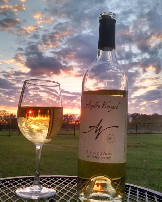 RCLakeLiving's tweet photo. Cheers to another weekend in Texas!🍷 If you are a #winelover, check out @angelitavineyard to the west of Richland Chambers Lake.
📸@angelitavineyard
📍Corsicana, TX
#corsicanatx #winelover #wine #winery #vineyard #localwines #texaswines #richlandchamberslake #cheers #texas https://t.co/qIpgrRtn8Z