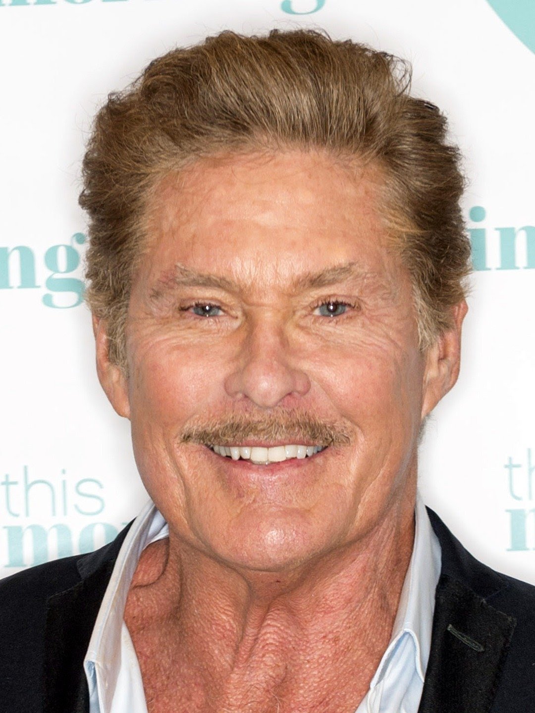  Happy 69th Birthday David Hasselhoff    