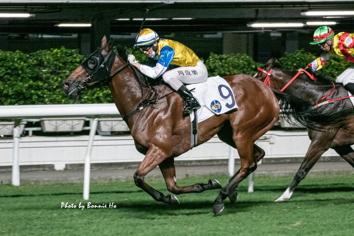bonbonhyh's tweet photo. The winners of race 1 to race 4 in Happy Valley Finale.
Successful Allstars, Shanghai Power, Happily Friends and Xponential
#HKracing #香港賽馬 #SeasonFinale #煞科 #KarisTeetan #VictorWong #VincentHo #JerryChau https://t.co/iMms1XbzOT