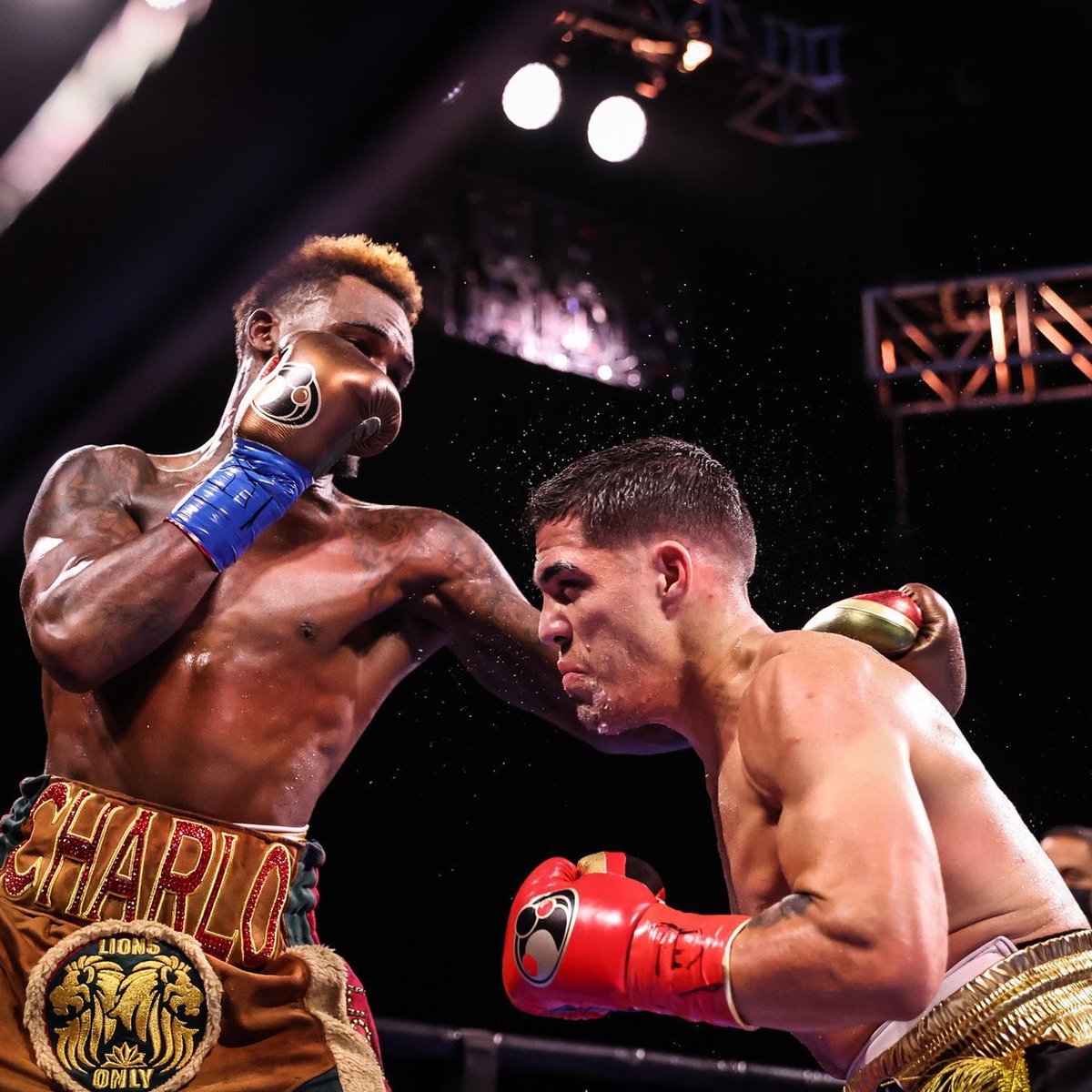 ¡EL CAMPEÓN FUISTE VOS, BRIAN! #Castañazo.