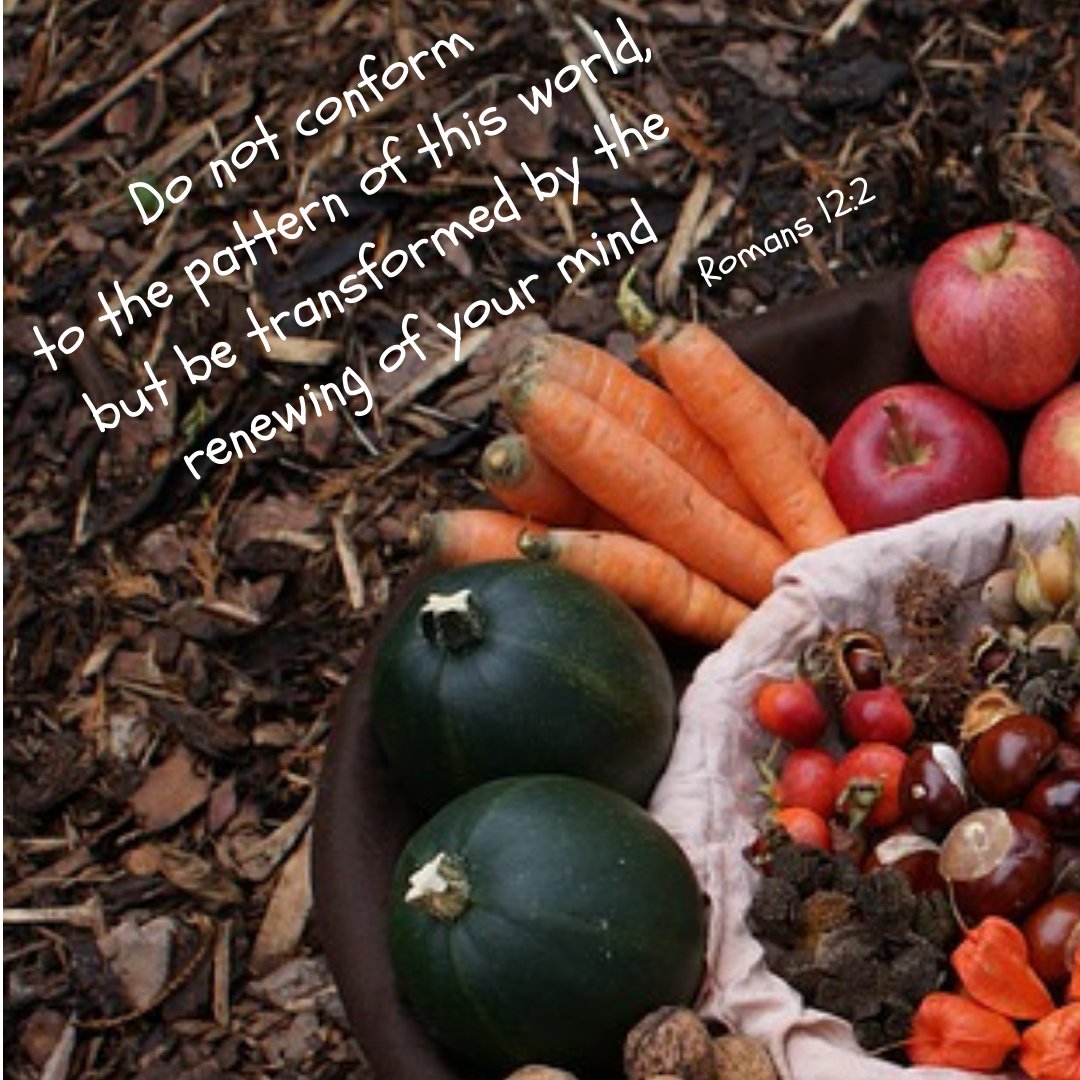 Daniel Chapter 1 - over-comers - mailchi.mp/0c1453243e3e/d…