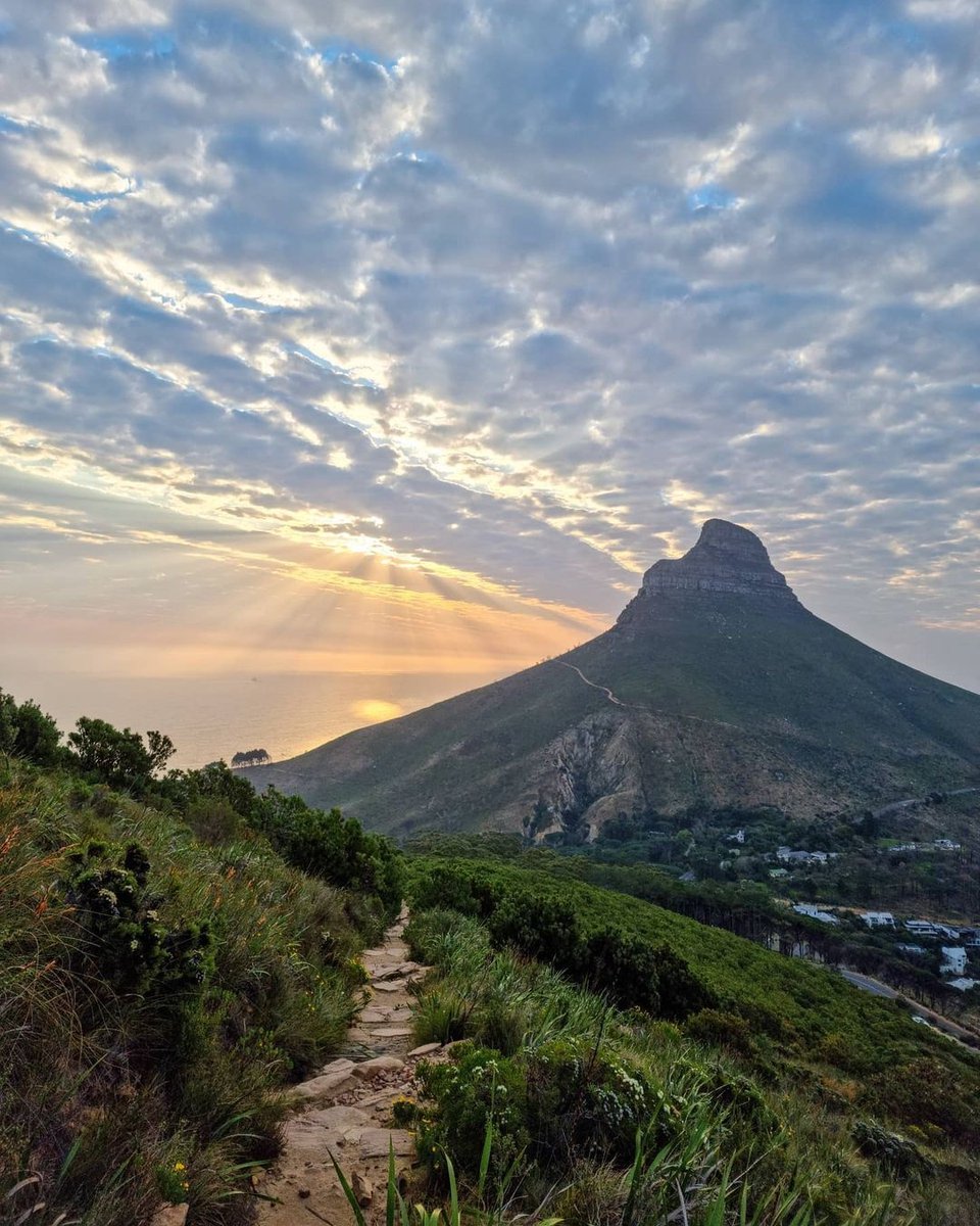 capetownmag's tweet image. Good morning everyone. Tag a nature lover ☀️ 

"Sun rays coming through some clouds over @lionsheadct 🌤⛰🌿." 

📸 @lifeofandiphotography

#capetownmag #capetown #southaftrica #lockdown #lionshead #hike #hiking #mountains #photography #weekend #sundaymood
