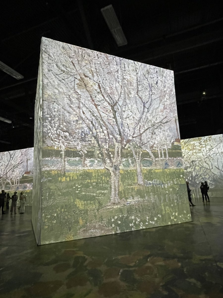 Getting back to a new normal. Went to #imaginevangogh today:) This struck me: “And bit by bit I’m getting to consider that madness is a disease just like any other”