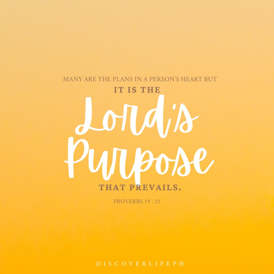 DiscoverLifePH's tweet photo. "Many are the plans in a person's heart but it is the Lord's purpose that prevails." - Proverbs 19:21
#DiscoverLifePH #RemindYourself #NoteToSelf #BeBetterAlways
Blessed Sunday 💛💛💛 https://t.co/1CYd8jMvwW
