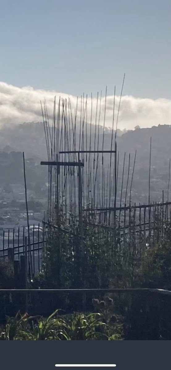 davidlumley's tweet photo. @isosteph Ok but what is going on with the fences here??? https://t.co/1AAbJxnlyr