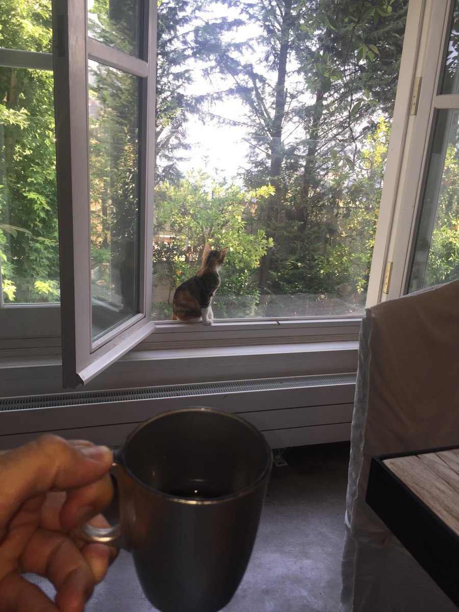 jonasforrest66's tweet image. Café, Paco à #Beitchabeb #Beitchabab